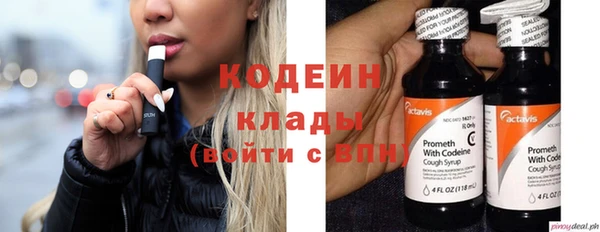 дживик Мегион