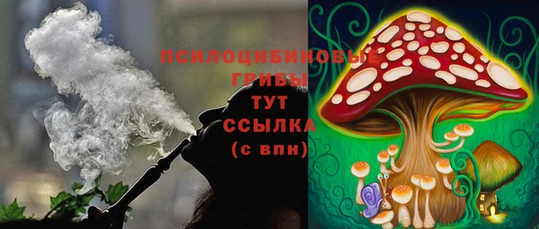 дживик Мегион