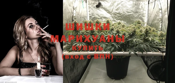 дживик Мегион